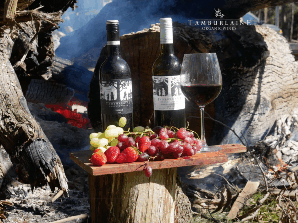 Tamburlaine OTG Shiraz - Image 3