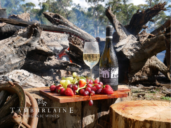 Tamburlaine OTG Chardonnay - Image 3