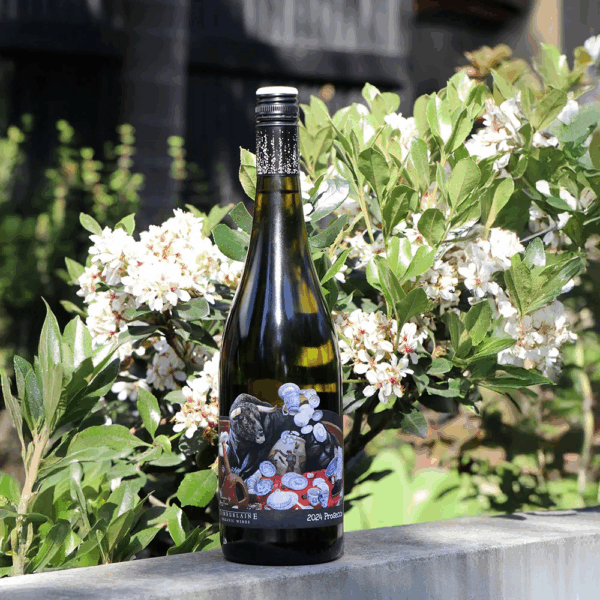 Tamburlaine Bull in a China A China Shop Prosecco - Image 4
