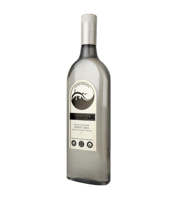 Tamburlaine Lizard Drinking Pinot Gris (PET Bottle) - Image 2