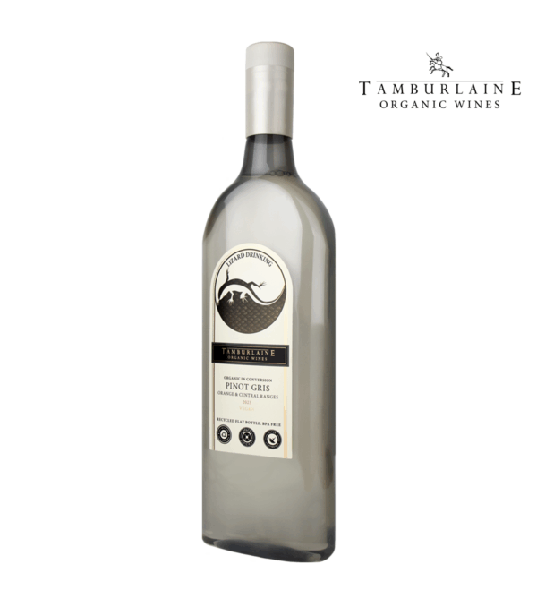 Tamburlaine Lizard Drinking Pinot Gris (PET Bottle)