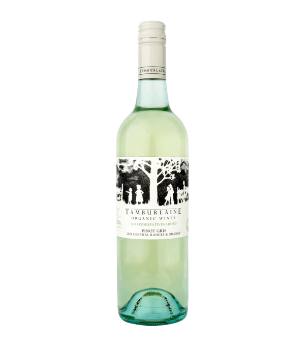Tamburlaine No Preservatives Added Pinot Gris - Image 2