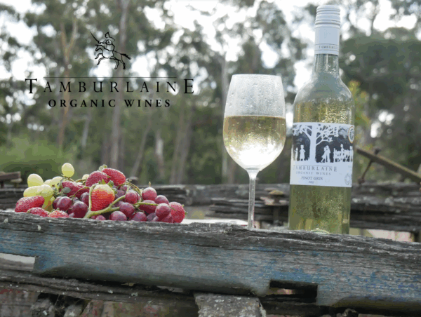 Tamburlaine No Preservatives Added Pinot Gris - Image 4