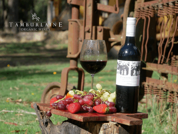 Tamburlaine No Preservatives Added Shiraz - Image 4