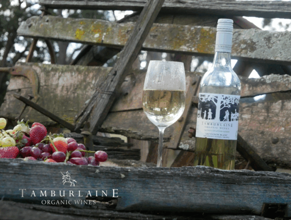 Tamburlaine No Preservatives Added Sauvignon Blanc - Image 4